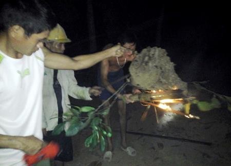 Những người đi săn ong đêm