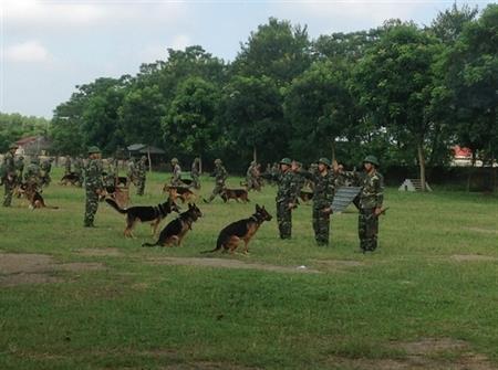 Sử dụng "vũ khí đặc biệt" trên địa bàn trọng điểm