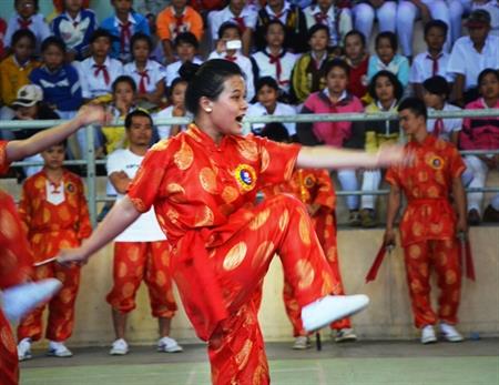 Liên hoan quốc tế võ cổ truyền Việt Nam lần thứ V