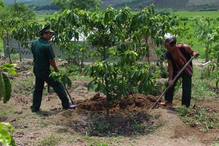 Tình “cá - nước” ở vùng Bắc Tây Nguyên