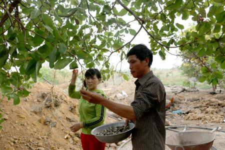 Lập nghiệp ở Tây Nguyên