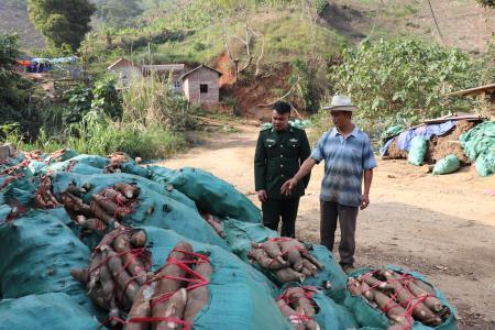 Khởi sắc vùng biên Lũng Pô