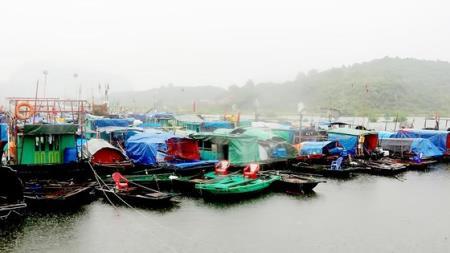 Bão số 3 suy yếu thành áp thấp nhiệt đới, khu vực Bắc Bộ và Bắc Trung Bộ tiếp tục mưa lớn