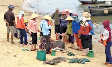 Hà Tĩnh hỗ trợ người dân vùng biển sau sự cố môi trường Formosa