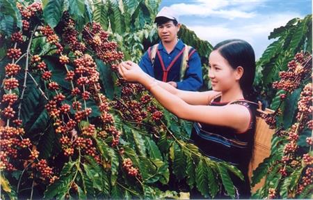 Ưu tiên đầu tư 29 dự án vào khu vực Tây Nguyên