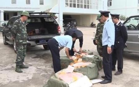 Lạng Sơn quyết liệt phòng, chống bệnh dịch tả lợn châu Phi