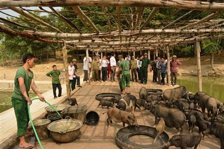 Trang trại nhà binh ở miền Tây xứ Thanh