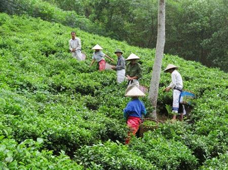 Mùa xuân về nguồn