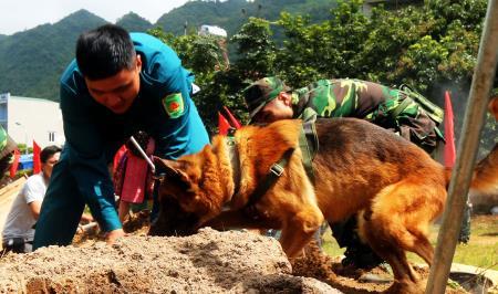 60 năm “rèn cán, luyện binh”, phát triển “vũ khí đặc biệt”