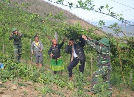“Phương thuốc” giảm nghèo cho bà con Lóng Sập