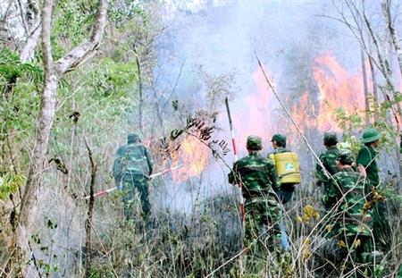 Nguy cơ cháy rừng ở Tây Nguyên