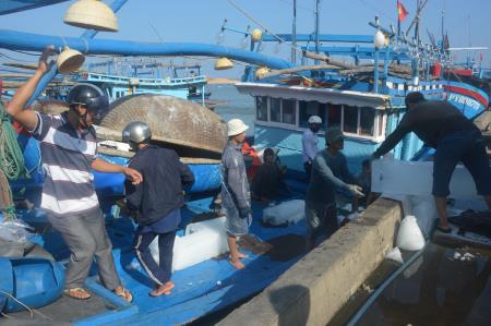 Nhộn nhịp ra khơi mùa biển mới