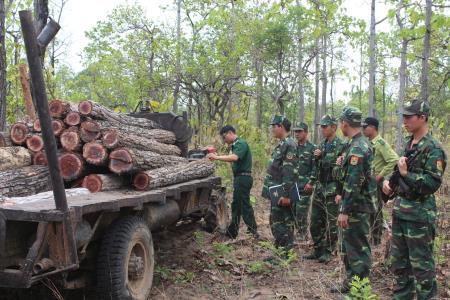 Gian nan công tác đấu tranh phòng chống vi phạm lâm luật