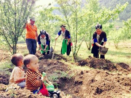 Mũi nhọn kinh tế nơi “cổng trời” Mường Lống
