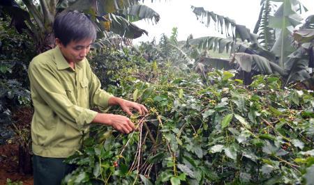 Đánh thức vùng đất “ngủ quên”