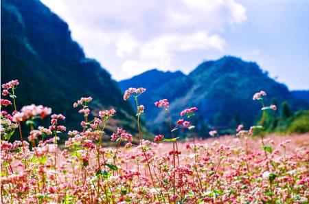 Tơ trời hay là những lát cắt tình yêu?
