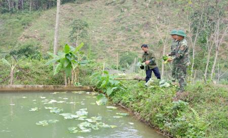 Giúp đồng bào xóa đói, giảm nghèo