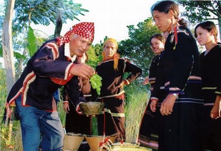 Giấc mơ buôn Buôr