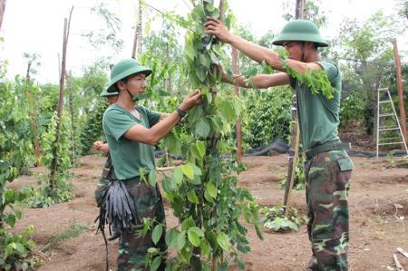 Những người lính hết lòng vì dân