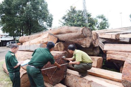 Giữ rừng trên biên giới Gia Lai