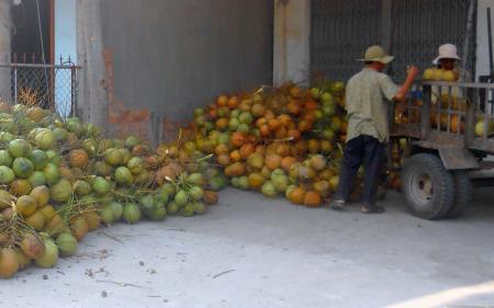 Vị ngọt từ "nghề đắng"