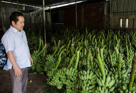 Cầu nối hữu nghị thông qua mô hình liên kết phát triển nông nghiệp