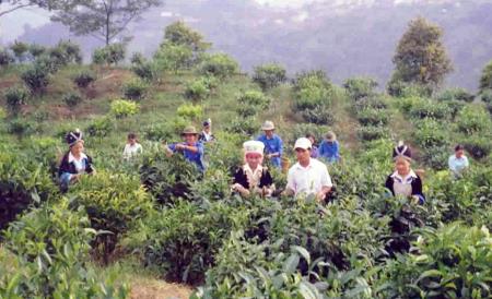 No ấm đẩy lùi di cư tự do