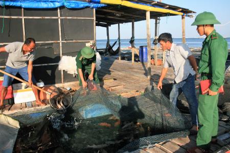 Giàu lên nhờ nuôi cá mú