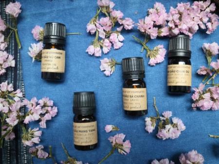Hội chợ Dược liệu và sản phẩm Y dược cổ truyền toàn quốc lần thứ nhất