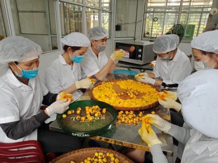Nông dân Sán Chỉ làm giàu từ hai bàn tay trắng