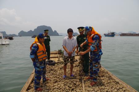 BĐBP Quảng Ninh tiêu hủy 9 tấn hàu giống không rõ nguồn gốc