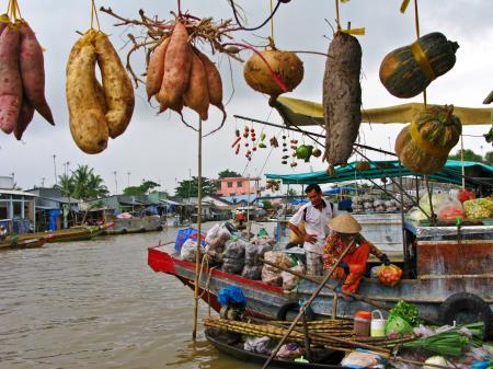 Theo nhịp mái chèo Tây Nam bộ