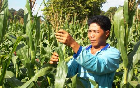 Phum, sóc Trà Vinh đang đổi thay từng ngày