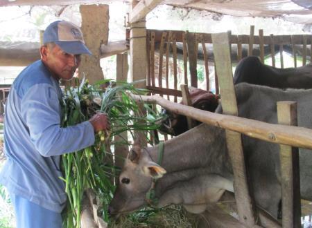 “Đòn bẩy” giúp đồng bào Khmer thoát nghèo bền vững
