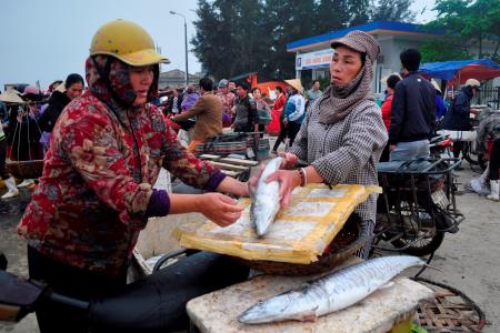 Ngư dân Hà Tĩnh trúng đậm mẻ cá trị giá hàng trăm triệu đồng