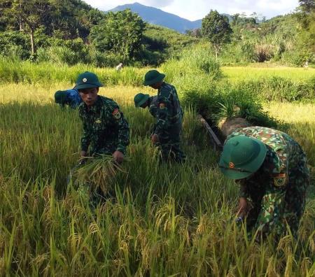 Giúp nhân dân sớm ổn định cuộc sống sau mưa lũ