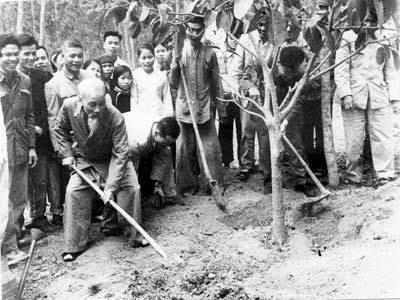 Ngày xuân tháp tùng Bác Hồ đi chúc Tết