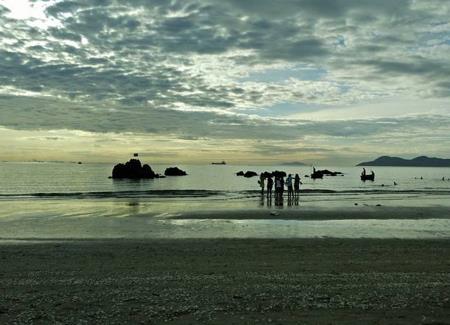 Hồn biển...