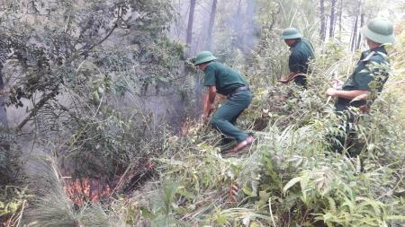 Đồn Biên phòng Hoằng Trường huy động tối đa lực lượng tham gia chữa cháy rừng