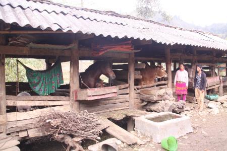 Vượt biên sang Trung Quốc làm thuê và hệ lụy khôn lường