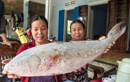 Đầu xuân kể chuyện đánh bắt “cá vàng”