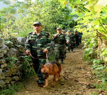 Đổi mới phương thức đấu tranh với tội phạm ma túy