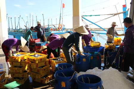 Tàu cá vi phạm vùng biển nước ngoài giảm