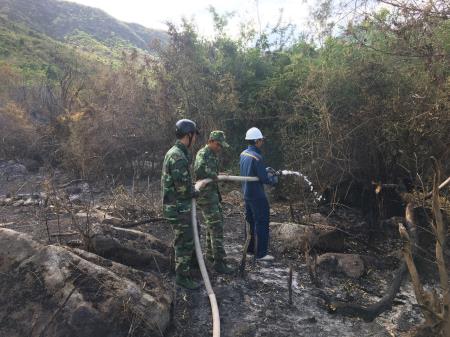 Kịp thời khống chế một vụ cháy rừng tại Khánh Hòa