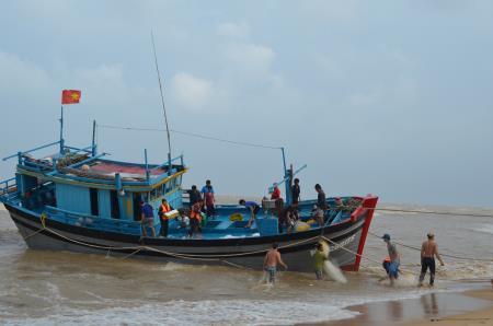 Phú Yên: Hơn 200 tàu cá xa bờ không thể ra khơi