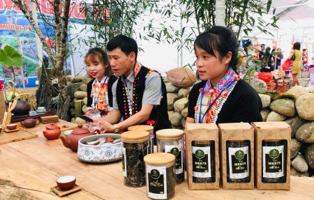 Phát triển rừng chè gắn với bảo vệ chủ quyền, an ninh biên giới