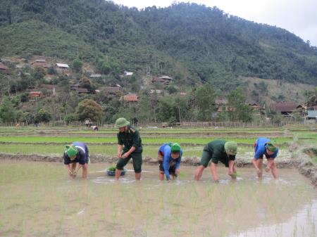 Đồn Biên phòng Tam Quang giúp dân xuống giống vụ xuân hè