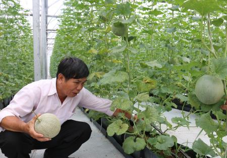 Hướng đến nền sản xuất nông nghiệp kỹ thuật số