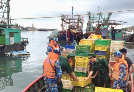 Thu giữ 35.000 con vịt không rõ nguồn gốc