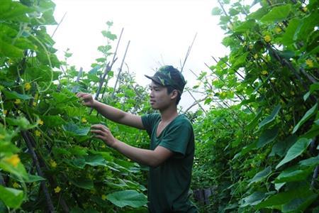 Phát động cuộc thi ảnh “Quân đội với nhiệm vụ bảo vệ môi trường, giảm thiểu biến đổi khí hậu”